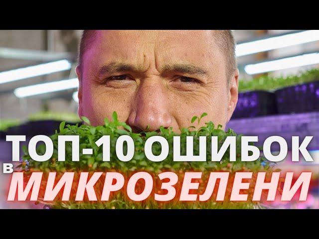 Microgreens Do's and Don'ts! TOP 10 Biggest Mistakes From Green Chef Papa CIS Microgreens