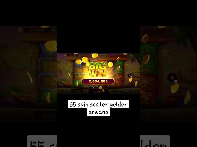 scater 55 spin Golden Arwana