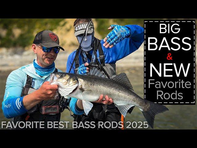 2025 Best Favorite Seabass Fishing Rods Revealed! Exclusive Insights from the Head Rod Designer