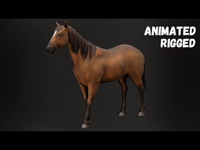 Animated Horse 3D Model