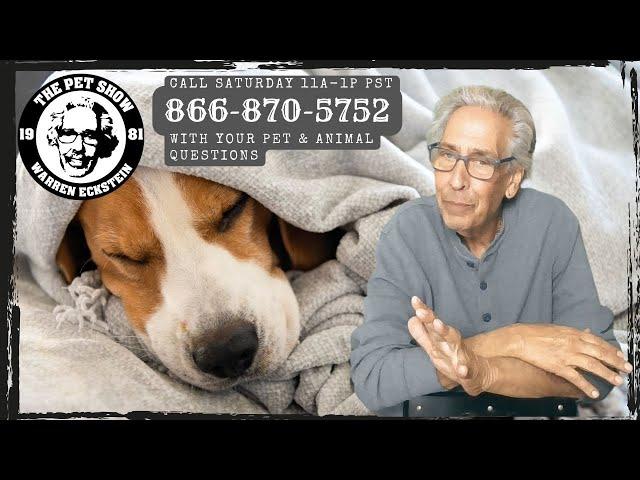 The Pet Show Update 1 5 24