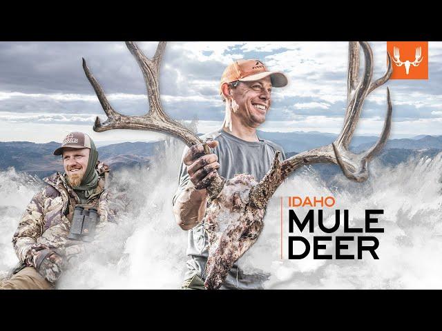 Idaho Mule Deer | MeatEater Season 12