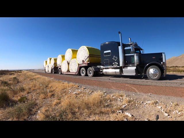 Hauling cotton bales