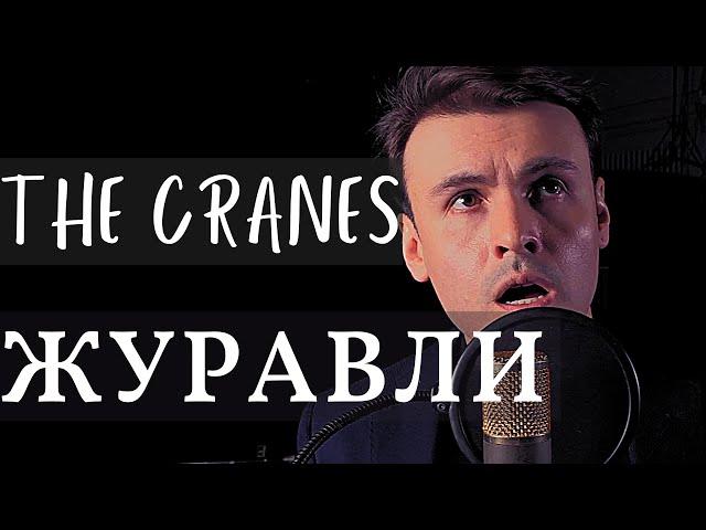 Журавли (Дмитрий Риберо-Феррейра) | The Cranes (Dmitri Ribero-Ferreira)