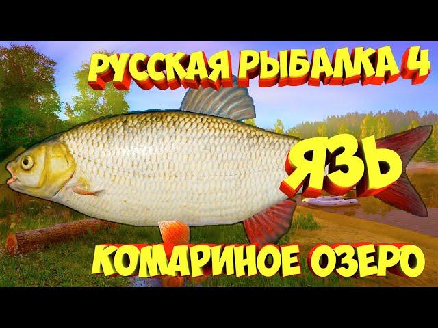 русская рыбалка 4 - Язь озеро Комариное - рр4 фарм Алексей Майоров