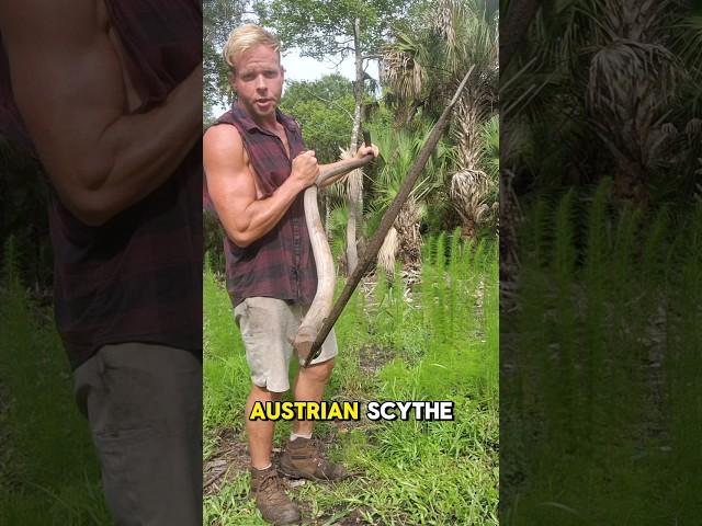 Check my SCYTHE (underrated yard tool!) #scythe #landscaping #gardening #homestead #tools #shorts