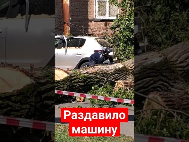 Раздавило автомобиль упавшим деревом. #ураган #ливень #ростовнадону