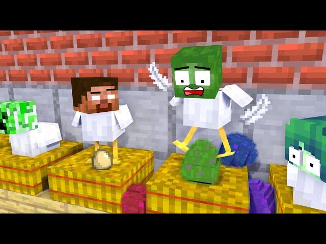 Monster School : Poor Chicken Monsters Lay Secret Eggs - Minecraft Animation