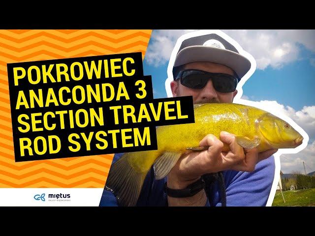 Łapiemy LINY na #Feeder | Mega Pojemny Pokrowiec Anaconda 3 Section Travel Rod System #Prezentacja