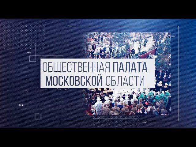 ЧТО ТАКОЕ ОБЩЕСТВЕННАЯ ПАЛАТА