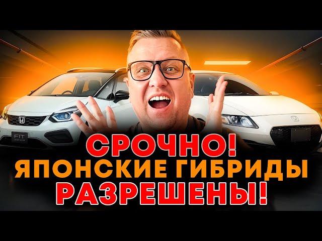 Гибридные авто из Японии, что разрешено к ввозу сейчас! обсуждаем и рассчитываем варианты