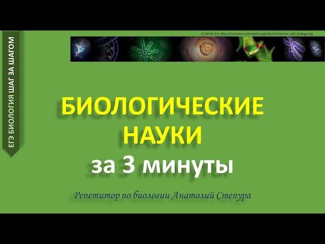 Биологические науки за 3 минуты