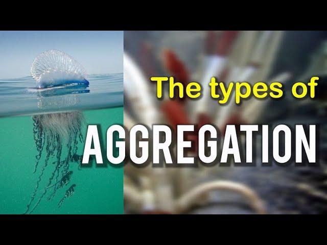 The Types of Aggregation