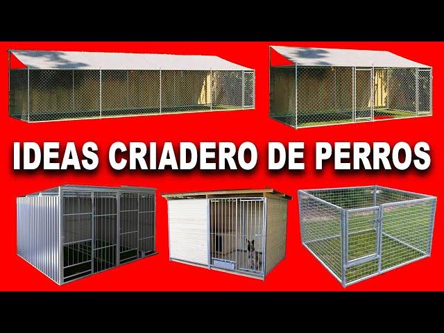  Ideas Criadero de Perros: Jaulas de Diversos Tamaños 