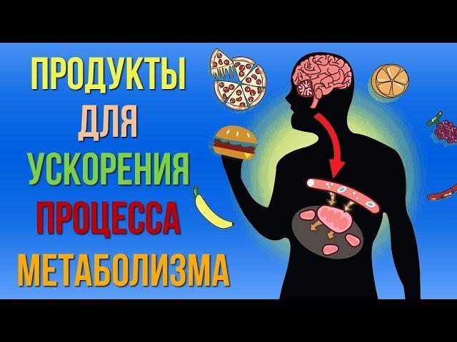 Продукты которые помогут вам ускорить процесс метаболизма Как улучшить обмен веществ в организме