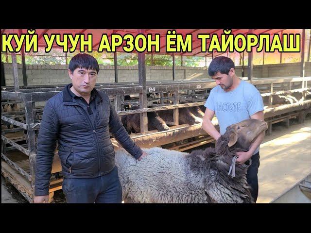 КУЙ БОКИШ УЧУН АРЗОН ЁМ ТАЙОРЛАШ УСЛУБИ УЙ ШАРОИТИДА