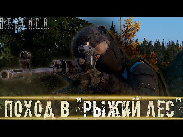 ● ПОХОД В "РЫЖИЙ ЛЕС" ● В поисках артефакта душа! — STALKER RP №465