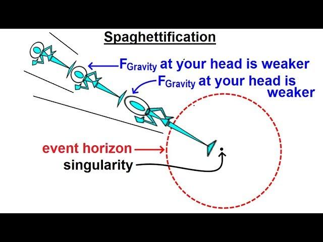 Astronomy - Ch. 23: Black Holes (6 of 10) Spaghettification of an Astronaut