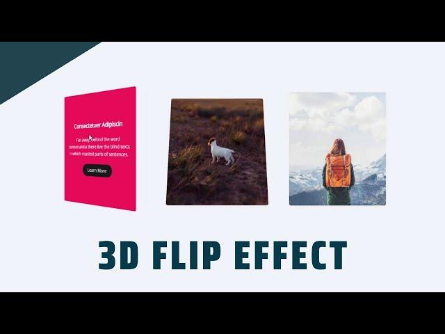 How To Easily Create 3D Flip Effect For WordPress Images - Live Blogger