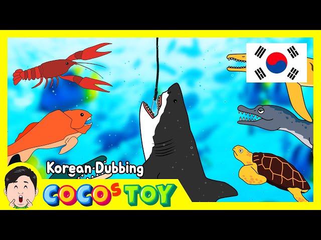 한국어 더빙｜노인과(?) 바다｜어린이 만화, 해양동물 이름｜꼬꼬스토이