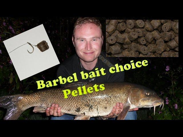 Barbel Bait. Part 1. Pellet