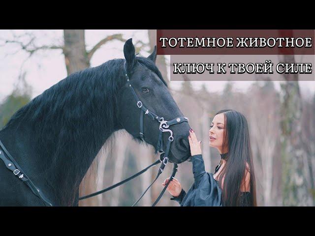 Тотемное животное - ключ к твоей силе