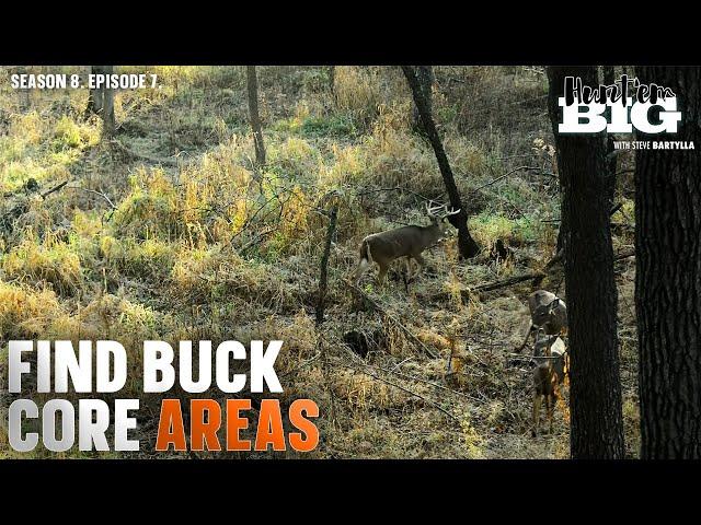 How to Locate Mature Buck Bedding Areas