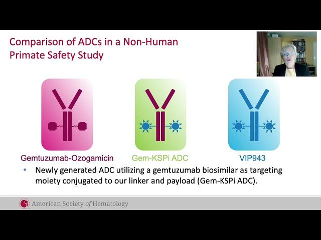ASH Video: Vincerx Presents Preclinical Data on VIP943 in Acute Myeloid Leukemia Models