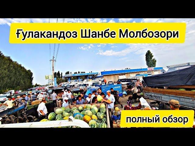 Ғулакандоз Шанбе Молбозори.Полный Обзор.07.12.2024.Бозор Зур Булди.