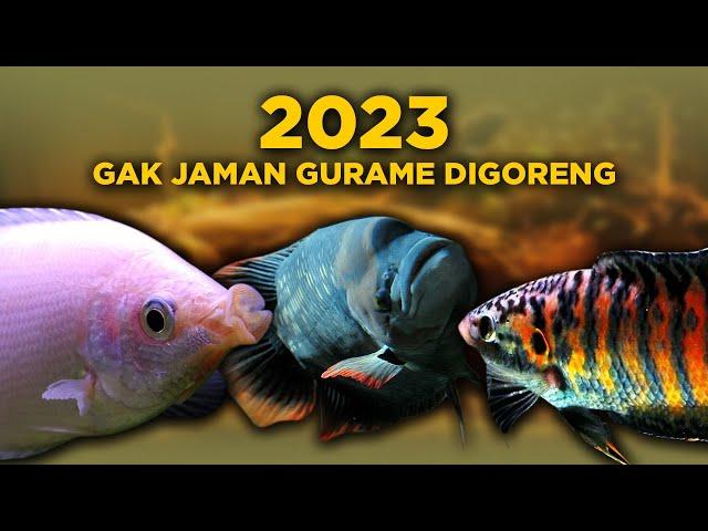 7 IKAN GURAME INI DILARANG DIGORENG, SOALNYA CAKEP SEMUA!