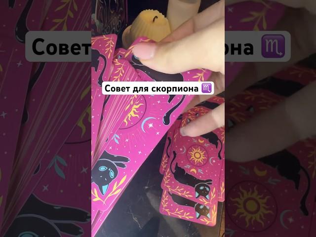 Совет для скорпиона. Подпишись если ты скорпион #таро #гороскоп #таронахнаки #скорпион #подпишись