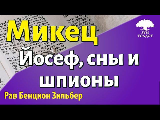 Глава Микец. Йосеф, сны и шпионы. Рав Бенцион Зильбер