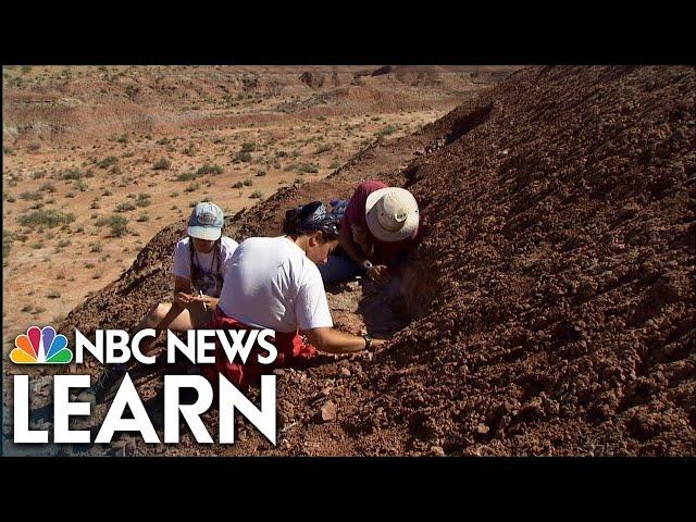 Çatalhöyük: Life in an Ancient Settlement