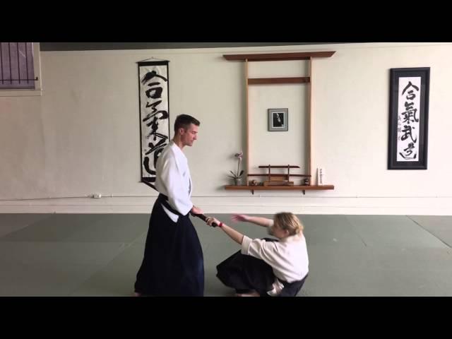 Fudōshin:  Immovable Spirit.  Aiki training through sword practice.