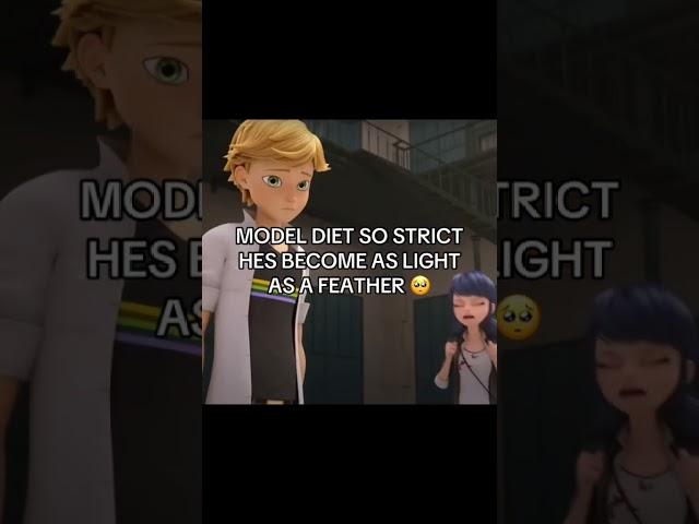 HEELPPP  #saludamemarinette #miraculous #miraculousladybug #ladybug #superhero #memes #catnoir