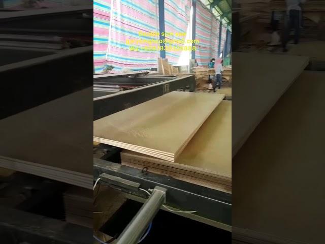 plywood double sizer