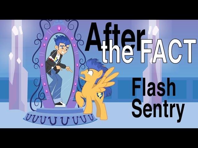 After the Fact: Flash Sentry