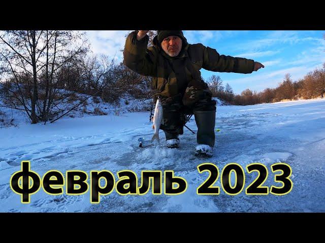 ЗА ВСЮ ЗИМУ НИ ОДНОГО А ТУТ СРАЗУ ДЕСЯТЬ ! РЫБАЛКА в феврале 2023.