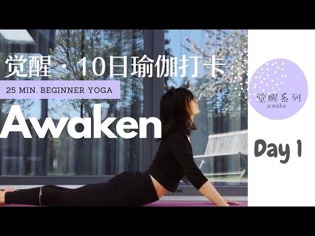 給初學者的初級瑜伽課系列，全身拉伸，解压放松，觉醒系列第1日  Beginner Yoga Series Day 1