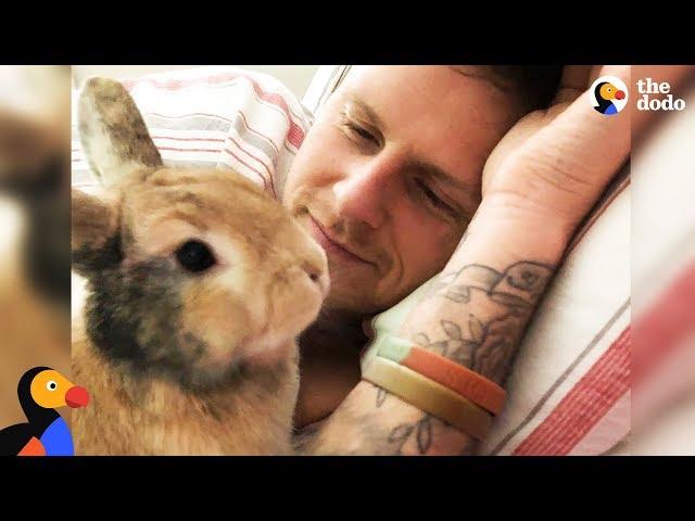 Amazing Rabbit Changes Man's Mind About Animals - CHIEF BRODY | The Dodo - Happy Father's Day!