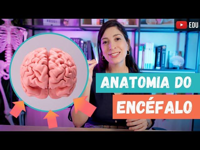 ANATOMIA geral do ENCÉFALO!