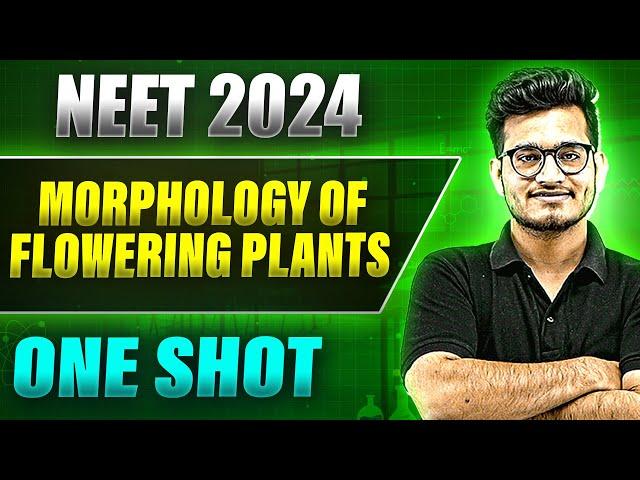 MORPHOLOGY OF FLOWERING PLANT in 1 Shot: FULL CHAPTER COVERAGE (Theory+PYQs) ||  Prachand NEET