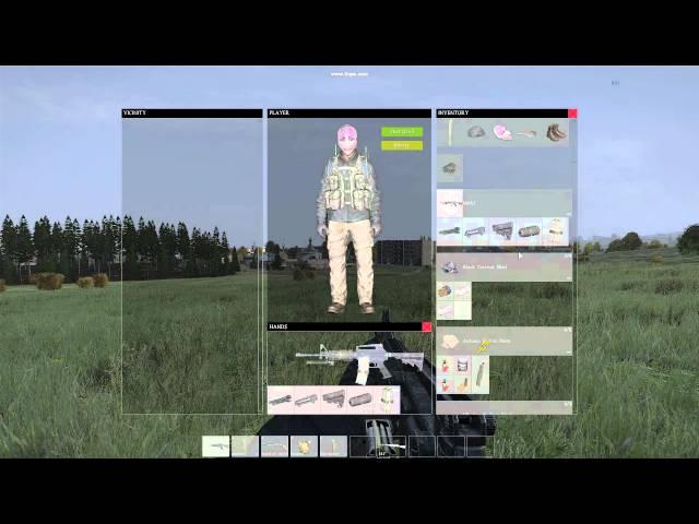 Dayz Standalone Hack/Glitch