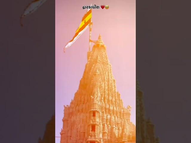 It is a Gujarat from dwarikadish #dwarikanath #gujratdwarika #jayshrikrishna ️