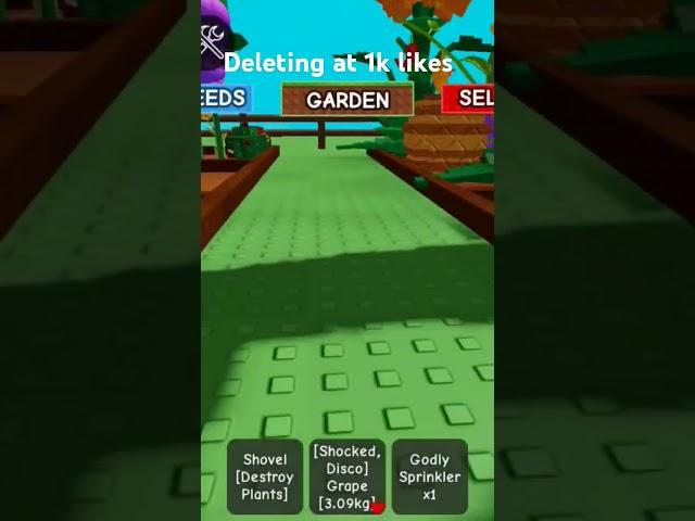 #roblox IM DELEING AT 1K