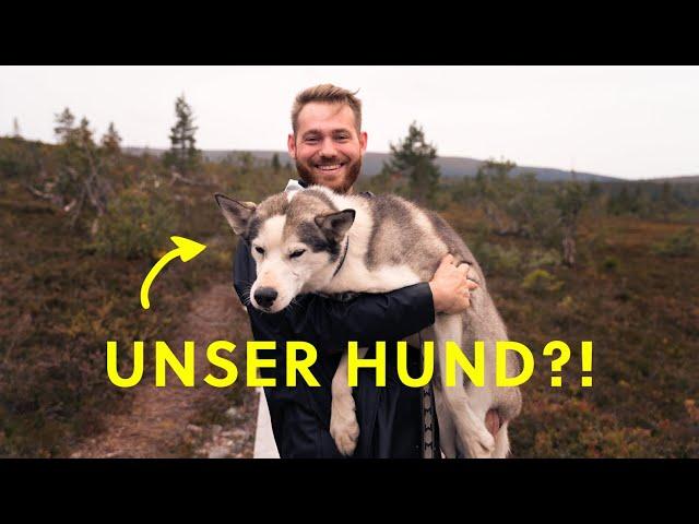 DAS HIGHLIGHT UNSERER SCHWEDEN-REISE (Sälen, Dalarna)