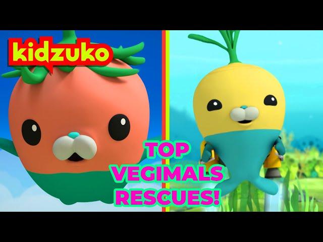 @Octonauts -  ️ Saved by the Vegimals!  | Spectacular Land and Sea Rescues Compilation | Kidzuko​