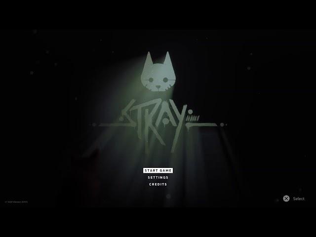 stray 03