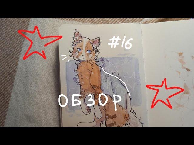 обзор скетчбука! ⭐коты воители