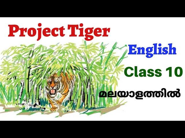 Project Tiger | Class 10 | English | Scert | explained in malayalam |